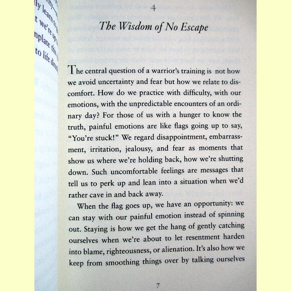 Book - Comfortable with Uncertainty: Teachings on Cultivating Fearlessness - Picture 7 of 15